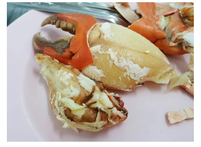 Phạm Huỳnh Gia Bảo