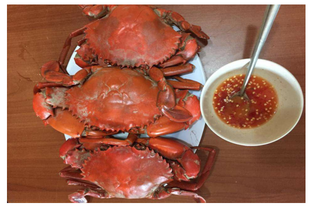 Phạm Huỳnh Gia Bảo