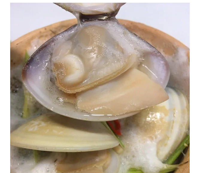 Phạm Huỳnh Gia Bảo
