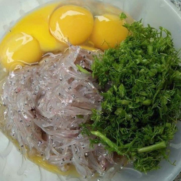 Phạm Huỳnh Gia Bảo