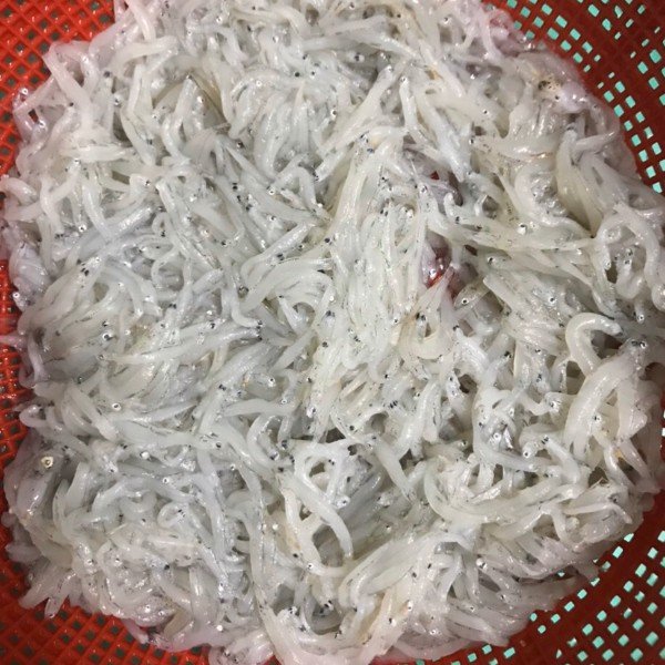 Phạm Huỳnh Gia Bảo