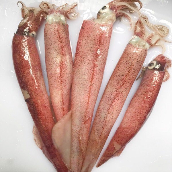 Phạm Huỳnh Gia Bảo