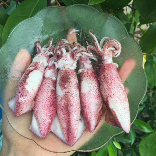 Phạm Huỳnh Gia Bảo