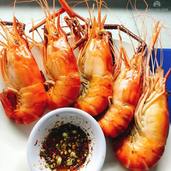 Phạm Huỳnh Gia Bảo