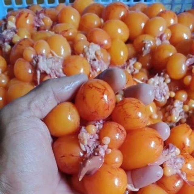 Phạm Huỳnh Gia Bảo