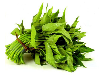 Phạm Huỳnh Gia Bảo